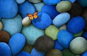 Butterfly-On-Stone-